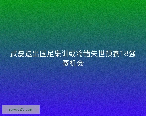 武磊退出国足集训或将错失世预赛18强赛机会 武磊退出国足集训或将错失世预赛18强赛机会